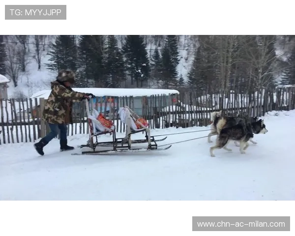 极限雪橇高速下滑惊险无比