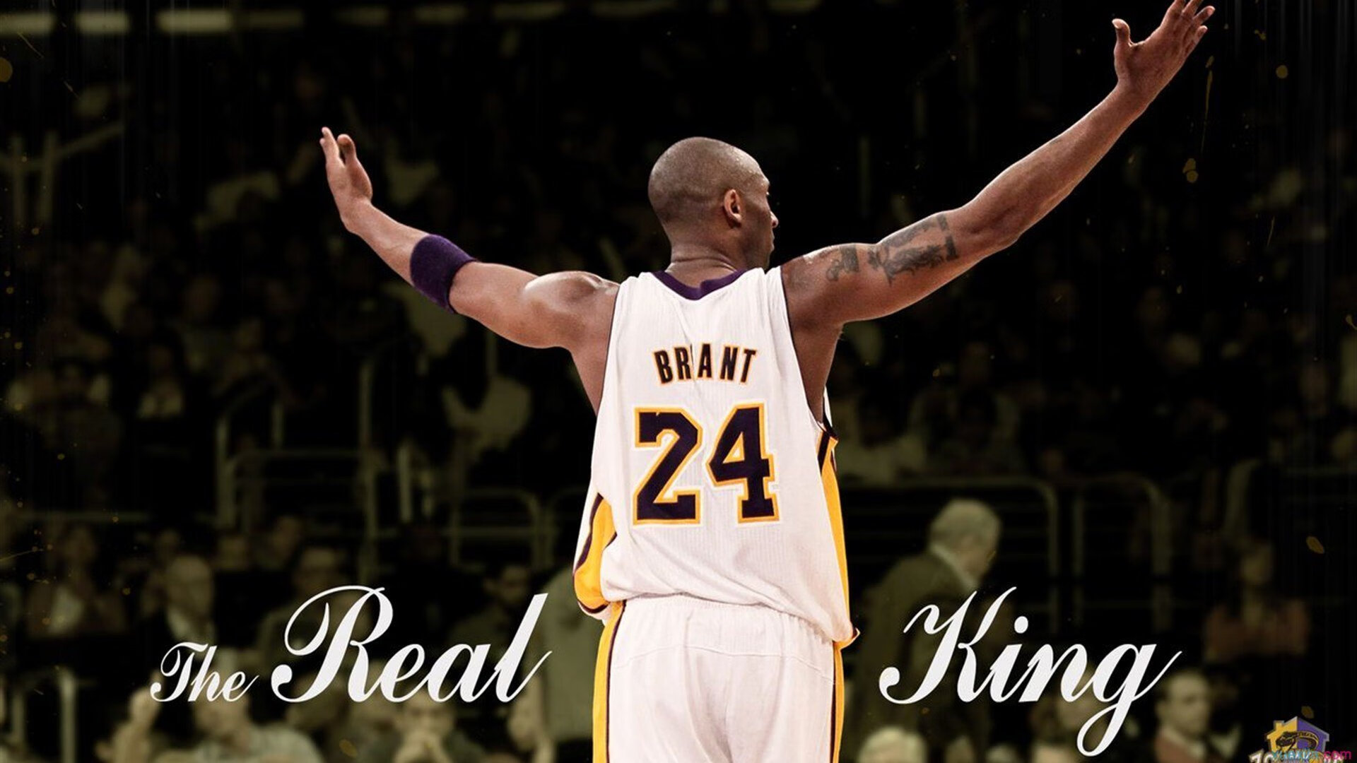 澳大利亚橄榄球青训与全球接轨，澳大利亚橄榄球队